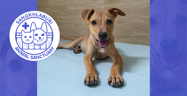 Lives Saved! Futures Changed! Look At What Compassion Has Accomplished!
