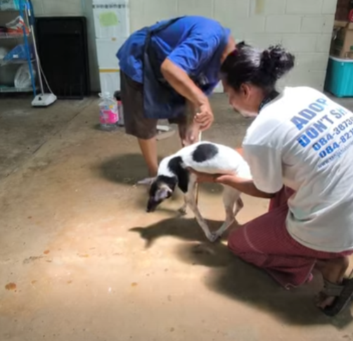 It takes a team to lift a spirit. Meet Gherka.