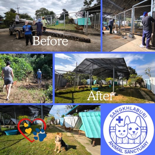 We are sending a huge, heartfelt thank you to Madeleine