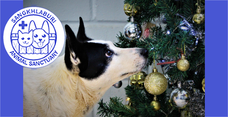 Bad guys don’t take holidays off – neither do we!