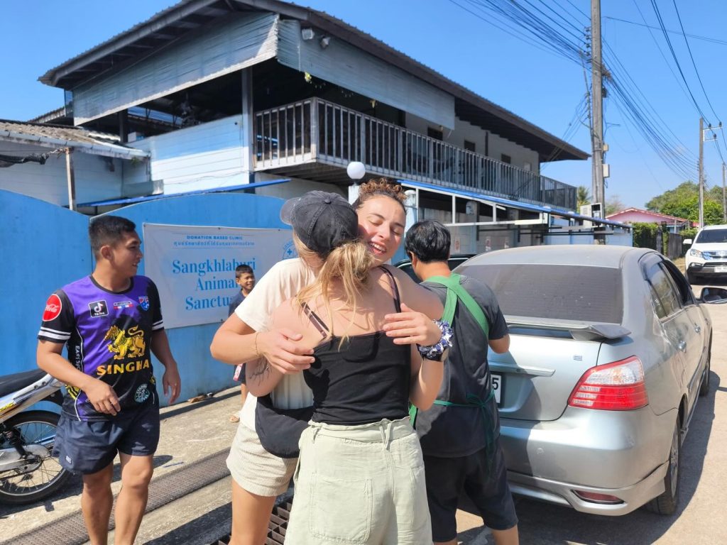 A massive THANK YOU to our incredible volunteers, Corentine and Kate! 🙏✨