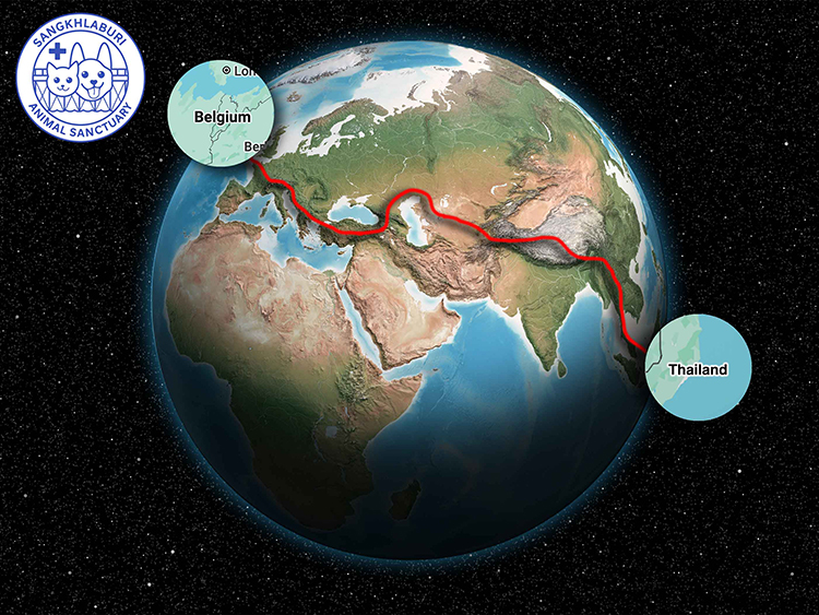 Two vets bicycled through 16 countries to help our animals