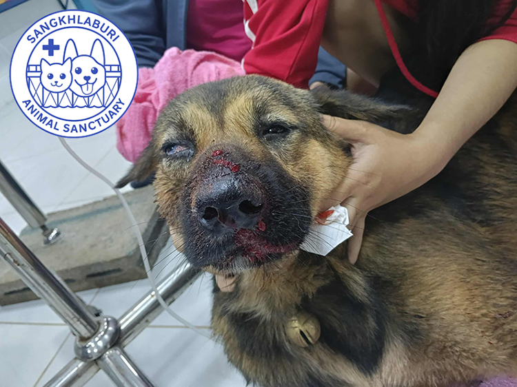 Maaruay was beaten and left fighting for his life. He’s fighting to survive – will you stand with him?