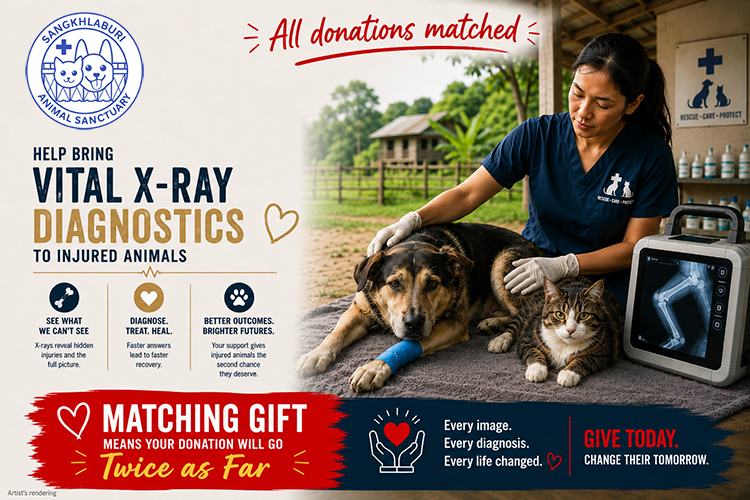 An injured dog or cat shouldn’t have to wait for treatment and suffer! An x-ray machine will end delays and ensure correct diagnosis and treatment