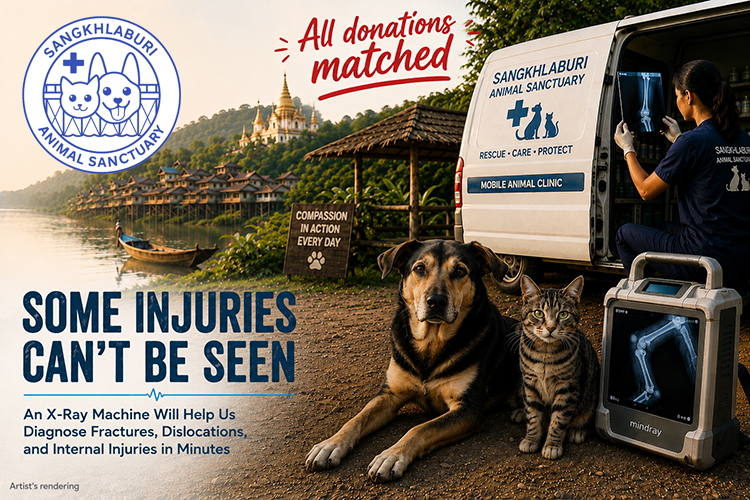 When a dog or cat is hurt, the sooner we know what’s wrong, the sooner healing can begin. An x-ray machine will make ALL the difference!