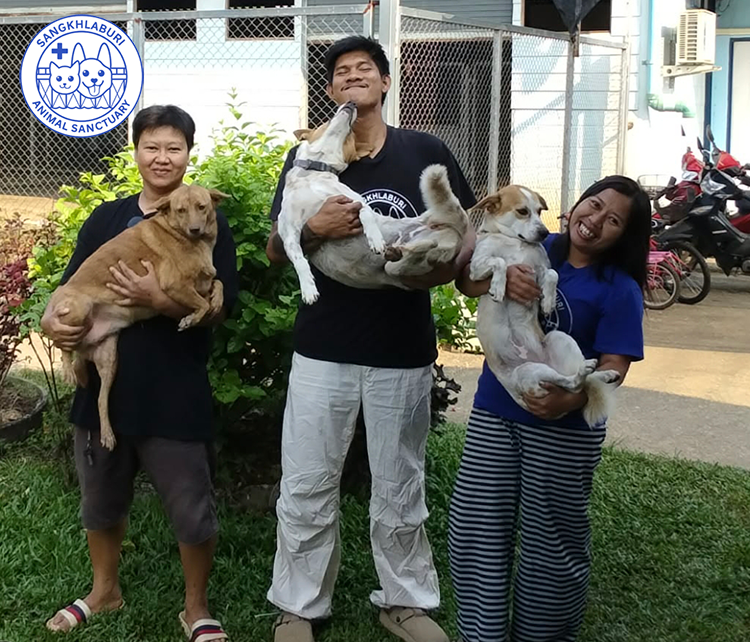 I was told I shouldn’t send this message… but it’s the RIGHT thing to do. Our caretakers mean EVERYTHING to our rescues!
