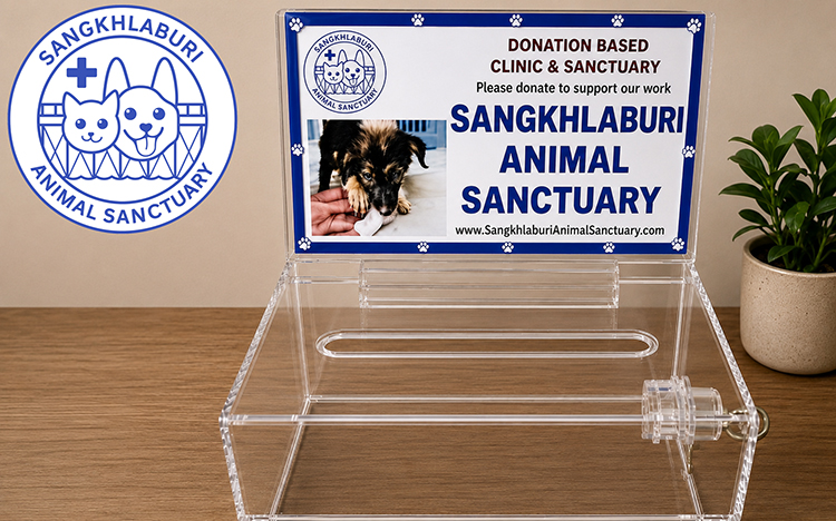 Helping dogs and cats has never been this simple…Will you help us place a Canister of Kindness?