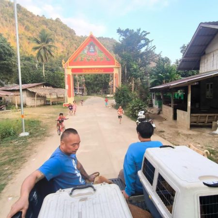 574507785_18091029458055888_4641972318533426767_n