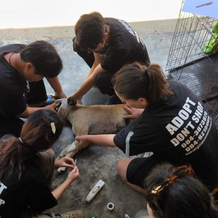 587830909_18091029368055888_3517618417617920870_n