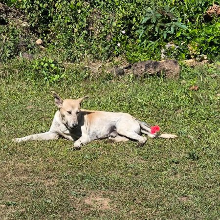 588627852_18091029386055888_8170644702342452681_n