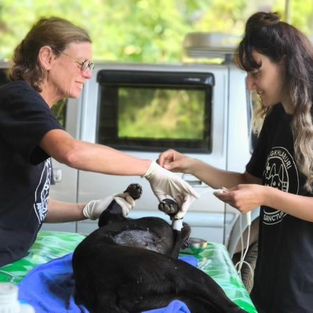 588736226_18091029374055888_2423974553348748175_n