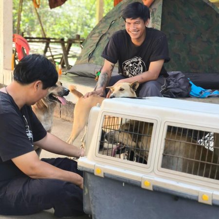 588836775_18091029404055888_8085981244048669751_n