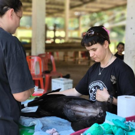 588883532_18091029359055888_2263089170923568931_n