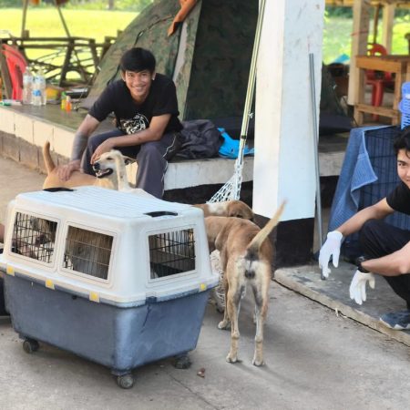 591159532_18091029413055888_2006736204829815797_n