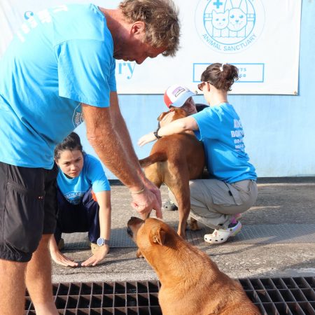 591592299_18091644515055888_7487082350514558131_n