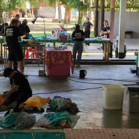 598784168_18091029395055888_8752662811902247690_n