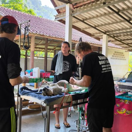 598966240_18091029350055888_6167300681668478396_n