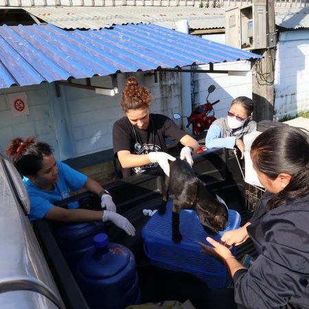 609115202_18092965781055888_3347566369053707957_n