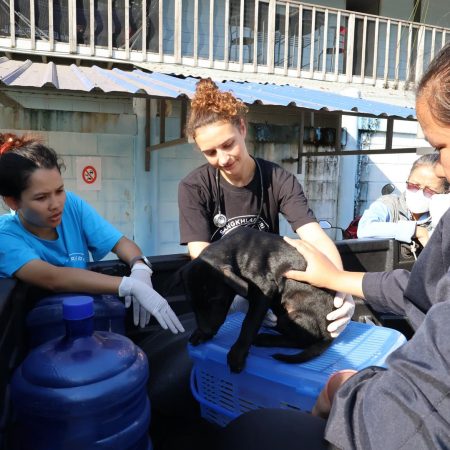 609522828_18092965790055888_1955814312116129402_n