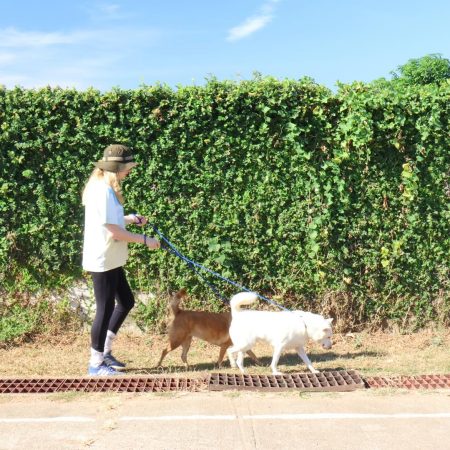 610601661_18092965847055888_1404244374147206150_n