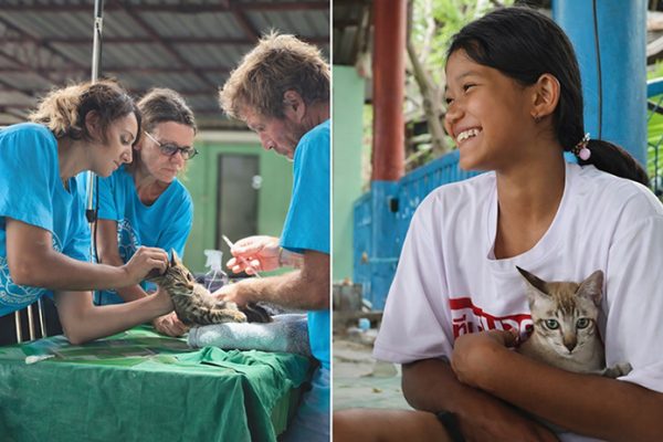 Cat-surgery-and-Little-Girl-695