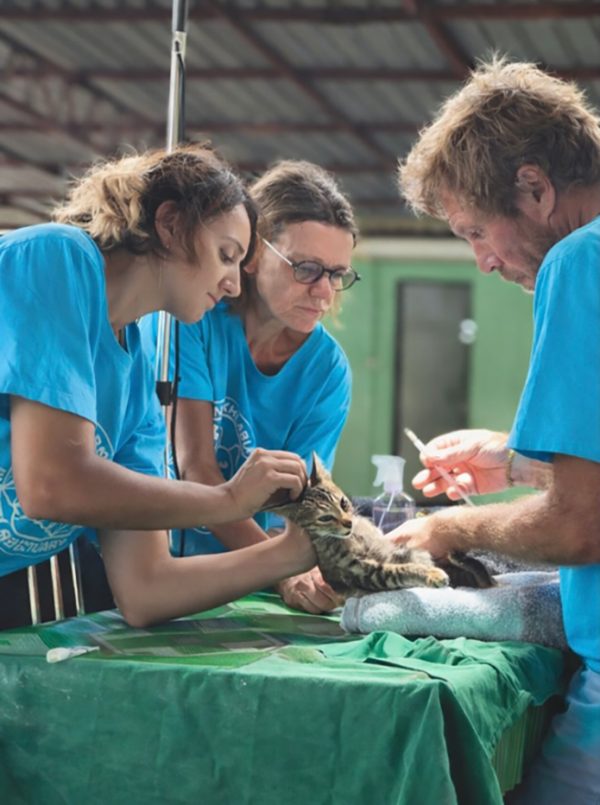 Operating-on-cat-695