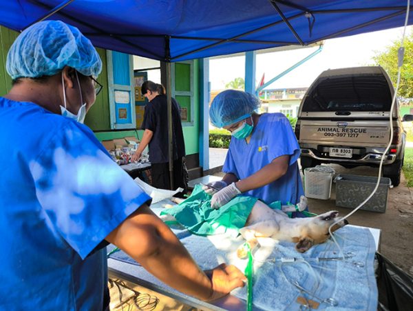 Ambulance-surgery-695