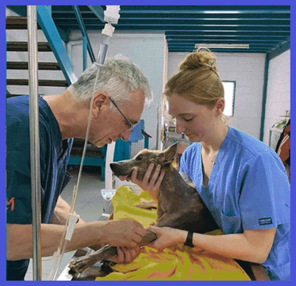 Clinic-in-action-695