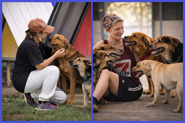 Happy-dogs-695
