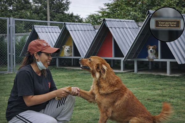Dog-Houses-695