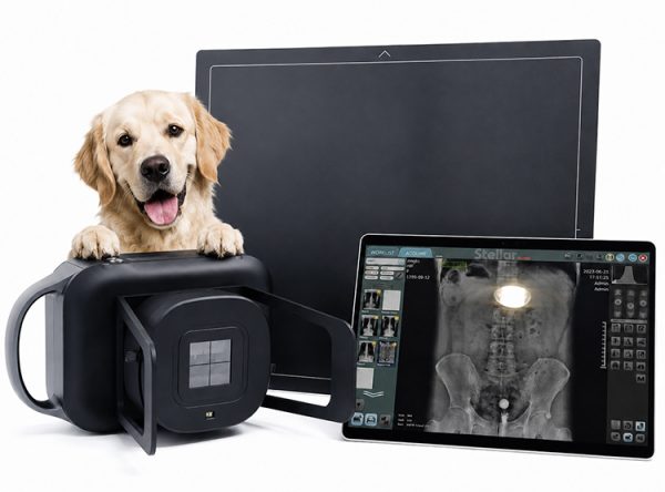 X-ray-photo-with-dog-750