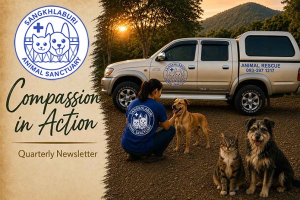 Newsletter-Banner-695